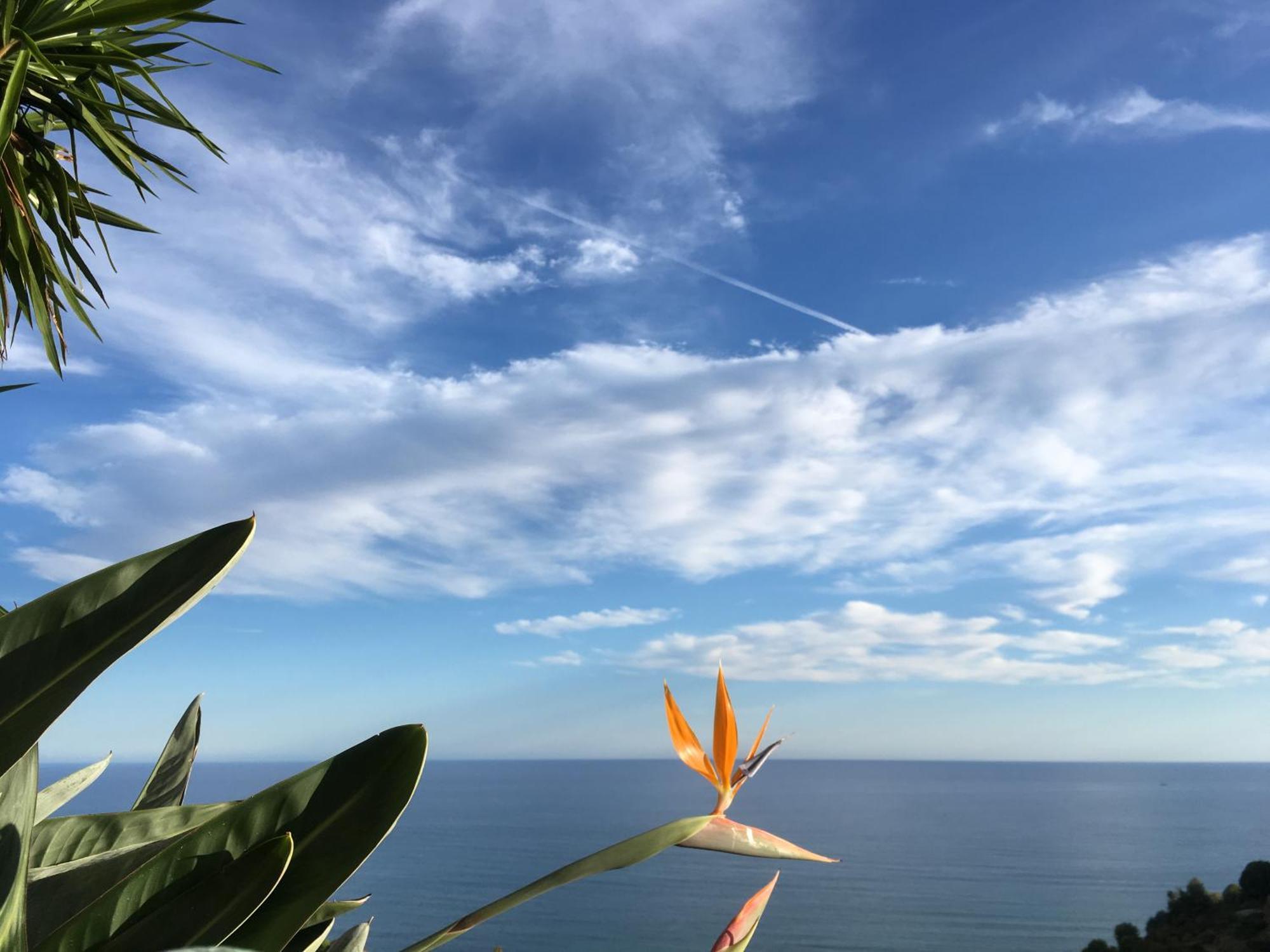 Villa Vento Largo, Casa Marina Ventimiglia Eksteriør bilde